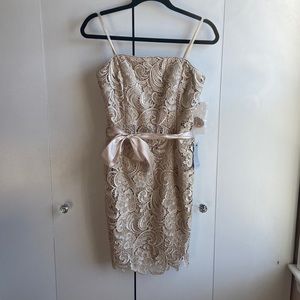 NWT Adrianna Papell Evening Dress (Sz 6)